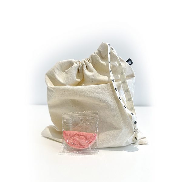 Sac découverte écoresponsable du Vieux-Lévis – Image 4